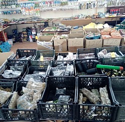 Рыболовные снасти